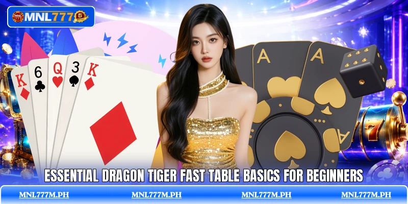 Essential Dragon Tiger Fast Table basics for beginners
