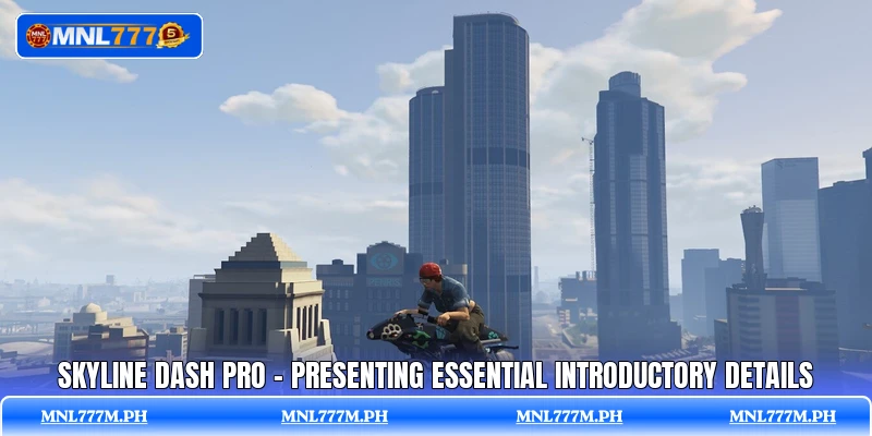 Skyline Dash Pro - Presenting Essential Introductory Details